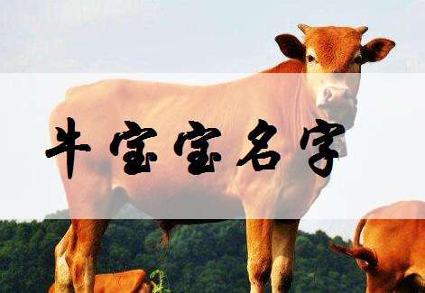 牛宝宝起名带<font color='red'>草字头</font> 牛宝宝取名禁忌<font color='red'>草字头</font>