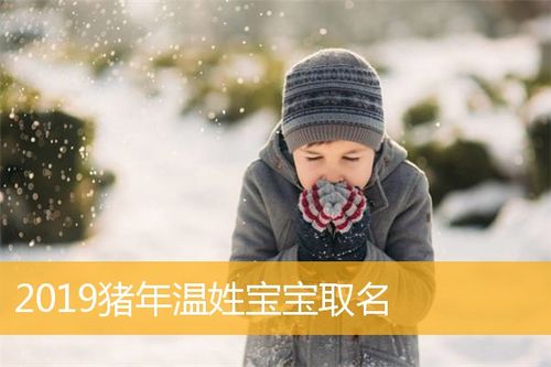 猪年10月份宝宝起名大全 <font color='red'>公历</font>猪年宝宝起名大全