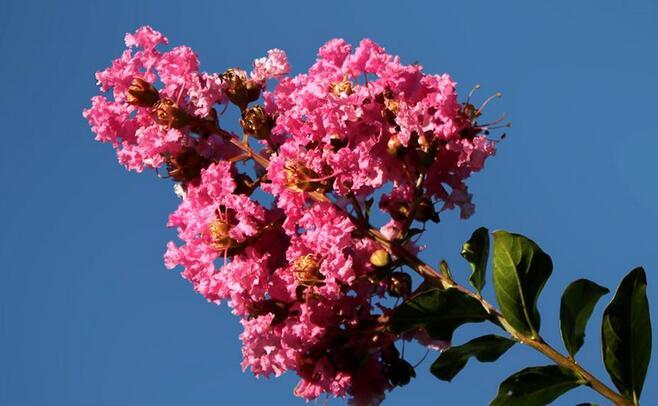 <font color='red'>紫微</font>名字打分 <font color='red'>紫微</font>最详细解释免费