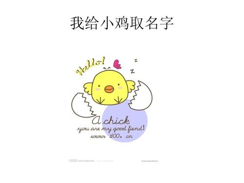 小鸡男孩名字大全<font color='red'>可爱</font> 男生宝宝<font color='red'>可爱</font>名字大全