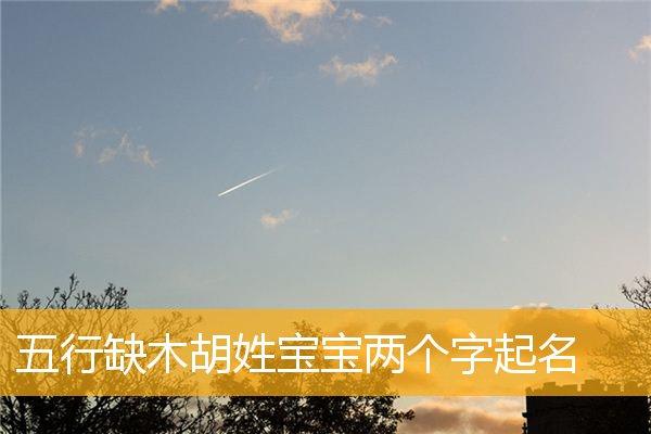 <font color='red'>胡姓</font>宝宝五行缺木缺水起名 五行缺木缺水<font color='red'>胡姓</font>取名