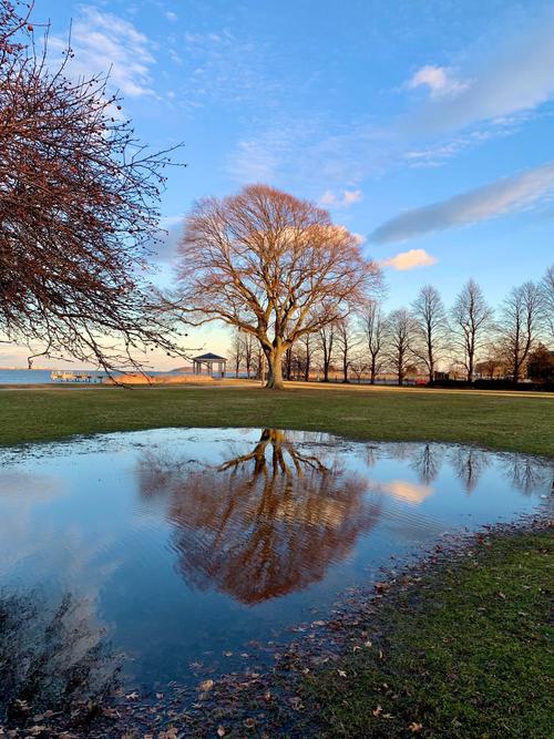 树的倒影<font color='red'>照片</font>取名 和树有关的姓名