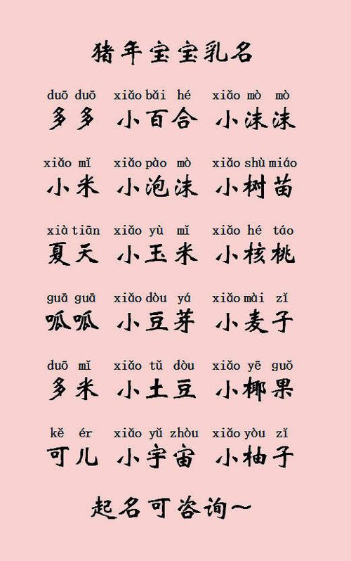 怎样给<font color='red'>猪年</font>的女宝宝起名 <font color='red'>猪年</font>女宝宝起名字大全