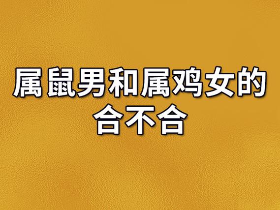男属鸡女鼠婚姻 96<font color='red'>年属鼠女</font>和93属鸡男的婚姻是什么意思？