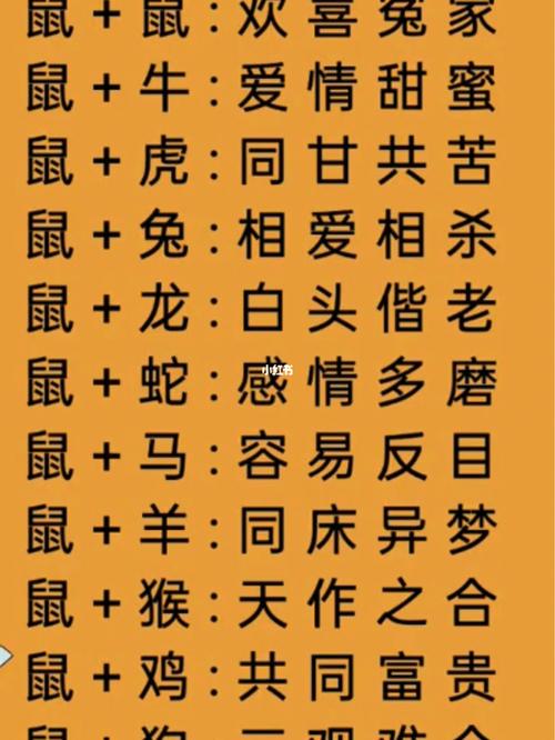 男属鼠和女属鼠婚姻<font color='red'>匹配</font>吗 夫妻都属鼠的婚姻好吗是什么意思？