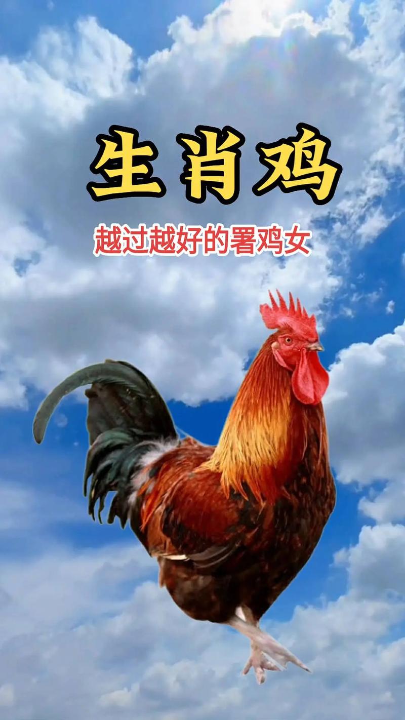 69年属鸡<font color='red'>男士</font>婚配好吗 69年属鸡<font color='red'>男士</font>婚配如何是什么意思？