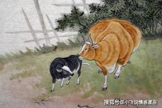 什么生肖<font color='red'>能屈能伸</font> <font color='red'>能屈能伸</font>的生肖是什么意思？