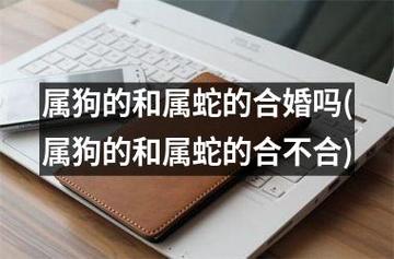 属狗戴蛇好吗婚姻如何 属狗的可以戴蛇的<font color='red'>饰品</font>吗是什么意思？