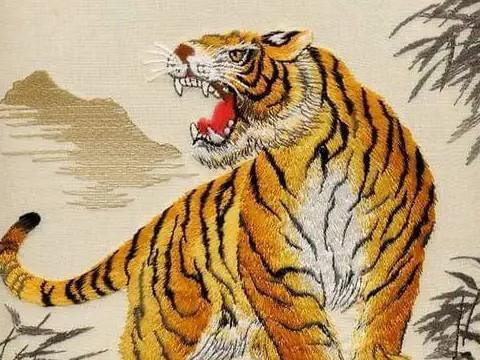 属虎穿什么<font color='red'>衣服</font>带财 属虎穿什么颜色的<font color='red'>衣服</font>最旺是什么意思？