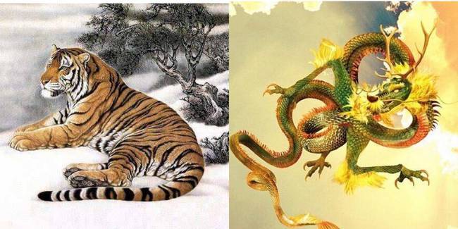 属龙的人<font color='red'>可不可以</font>摆虎 属龙可以挂虎图吗是什么意思？