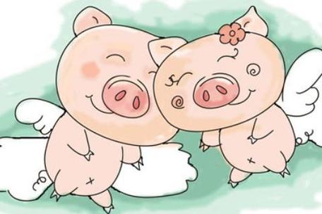 属猪与属猪婚配吗 <font color='red'>属猪女</font>配属猪男合适吗是什么意思？