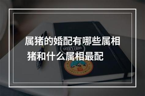 属猪与什么生肖不配婚 <font color='red'>曾仕强</font>讲属猪的生肖是什么意思？