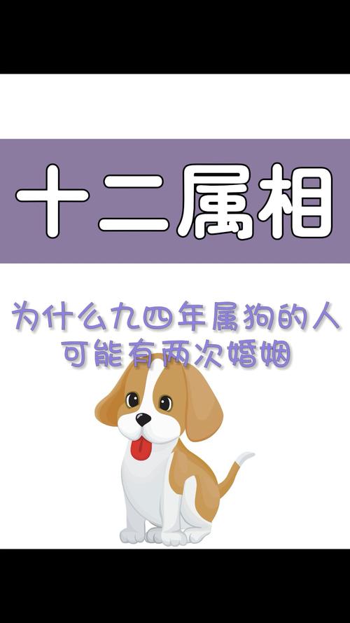 属狗的人婚姻 94年属狗男和99<font color='red'>属兔女</font>婚姻是什么意思？