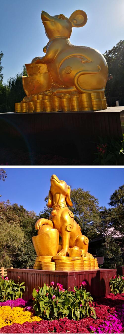 发<font color='red'>金光</font>是什么生肖 发<font color='red'>金光</font>的生肖是哪一肖是什么意思？