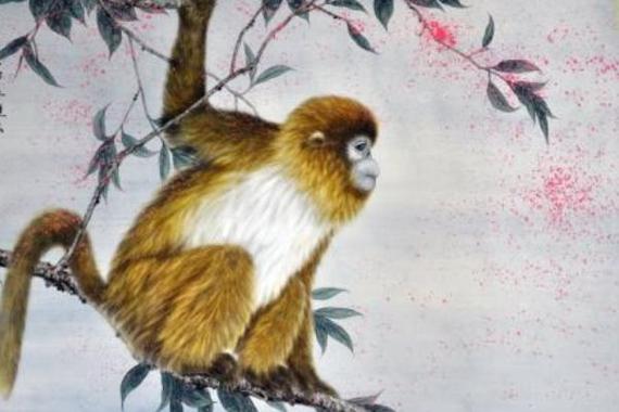 2017年属猴五行 2017<font color='red'>年是木命</font>还是金命是什么意思？