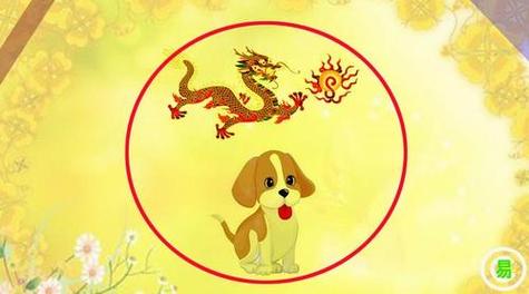 属狗的<font color='red'>家里</font>可以放龙吗 龙和狗化解最好的办法是什么意思？