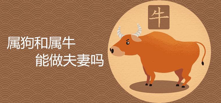 猜生肖<font color='red'>长安</font>大道配牛前狗边 羊肠小道猜最佳生肖动物是什么意思？