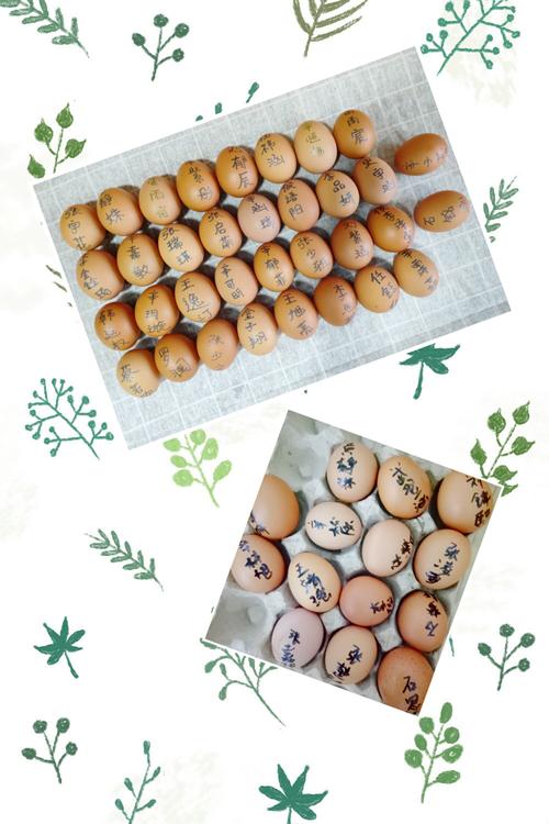 给鸡蛋宝宝起名字 鸡蛋宝宝<font color='red'>创意</font>名字大全