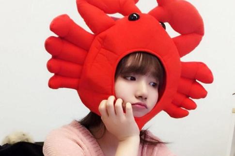 女孩名字晨馨 胡晨馨取名的<font color='red'>人多</font>吗