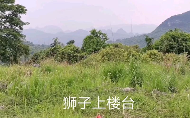 风水狮子如何<font color='red'>破解</font> 风水中狮子的学问