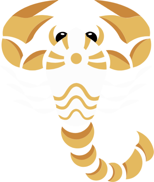 天蝎座是什么动物变的 天蝎座有<font color='red'>几种</font>动物象征