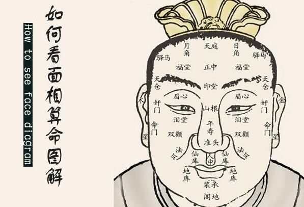 人的五官和<font color='red'>相貌</font>算命 乳头小的人老来命运会怎么样