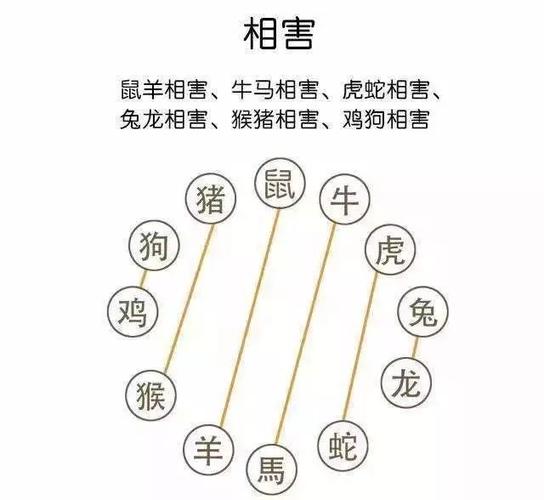 属相不合<font color='red'>八字合</font> <font color='red'>八字合</font>不合对照表