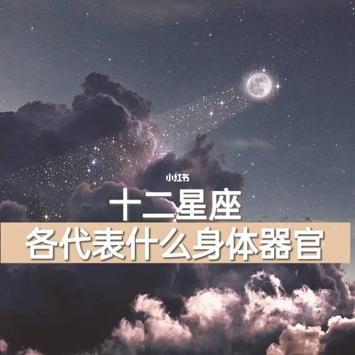 十二星座男生身体健康 十二星座男<font color='red'>谁的</font>身材好