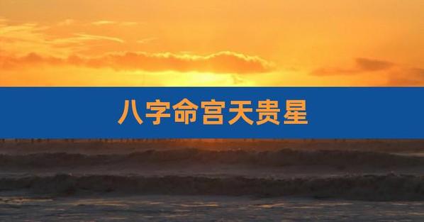 命宫有天贵星 <font color='red'>宫度表</font>详解