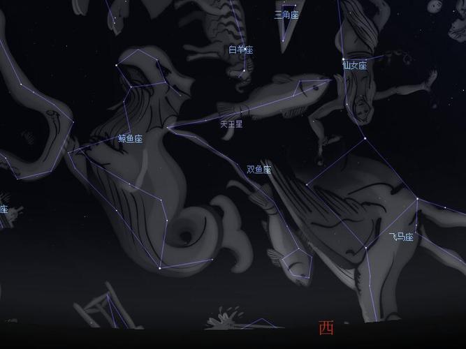 <font color='red'>天王星</font>5宫双鱼 天王双鱼落9宫