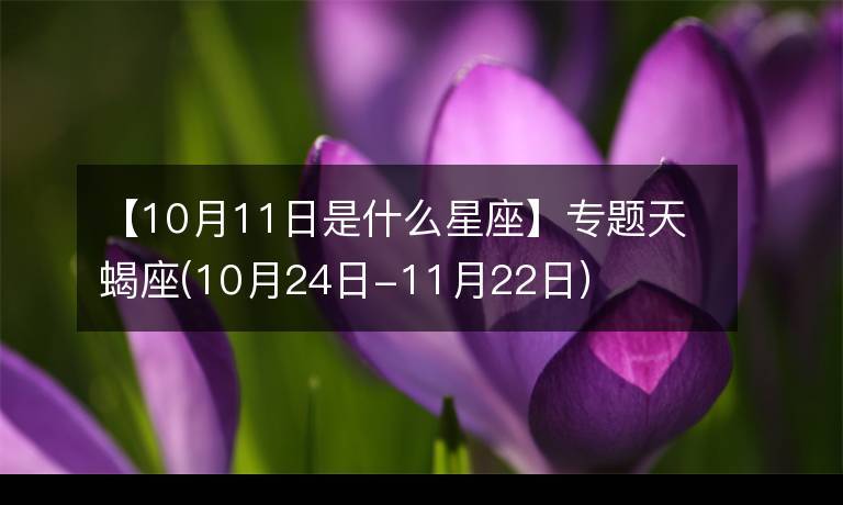 一月<font color='red'>八号</font>什么星座 摩羯座女的性格