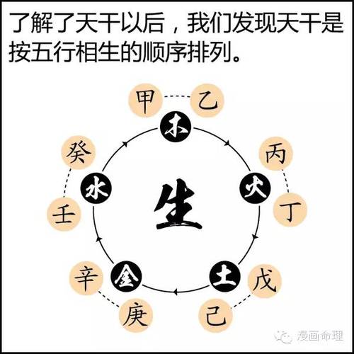 八字天干不透 偏财藏<font color='red'>地支</font>不透天干