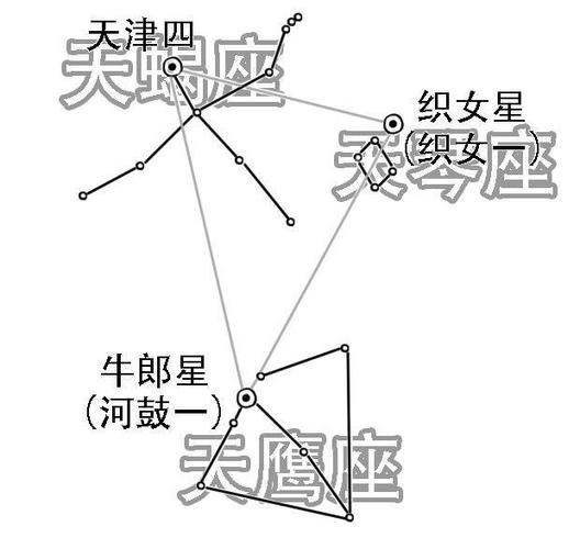 天津四的星座<font color='red'>图案</font>形状 12星座的标志和<font color='red'>图案</font>