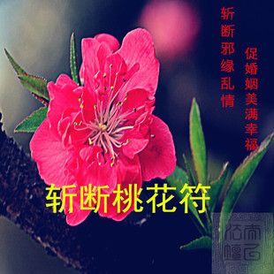 断<font color='red'>桃花</font>方法 断<font color='red'>桃花</font>口诀