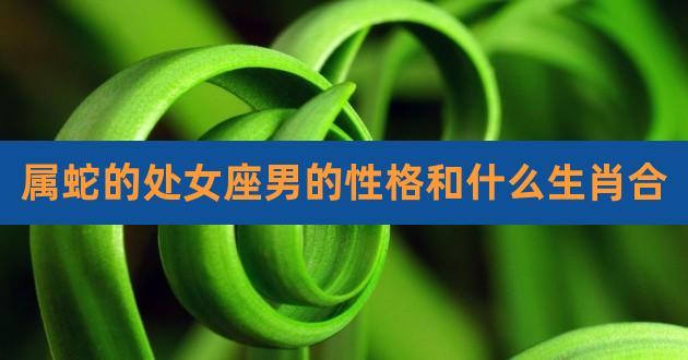 属蛇处女座<font color='red'>男人</font> 2001年属蛇的最佳婚配年龄