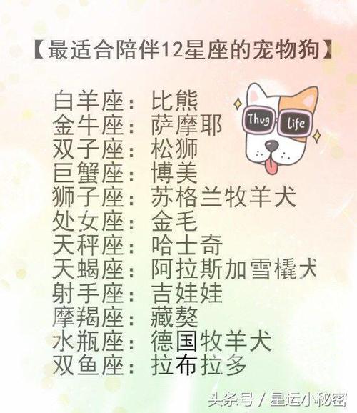 十二星座最近喜欢的狗<font color='red'>名字</font> 十二星座宠物狗的<font color='red'>名字</font>