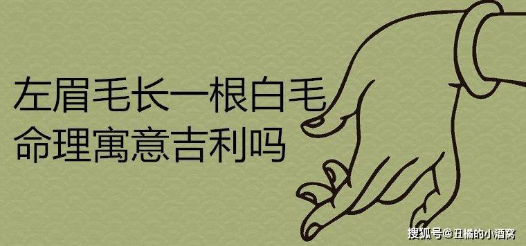 肚一根白毛算命有<font color='red'>什么事</font>吗 脸上一根白毛是福是祸
