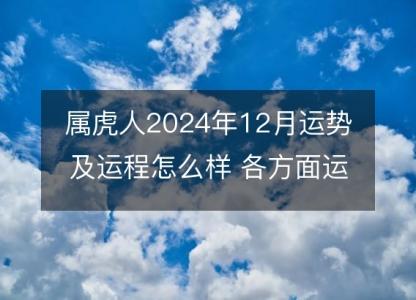 属虎人2024年12月运势及运程怎么样 <font color='red'>各方面</font>运势好吗