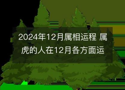 2024年12月属相运程 属虎的人在12月<font color='red'>各方面</font>运势好吗