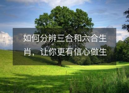 如何分辨三合和六合生肖，<font color='red'>让你</font>更有信心做生肖网站的生意