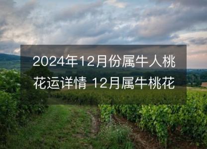 2024年12月份属牛人桃花运<font color='red'>详情</font> 12月属牛桃花好吗