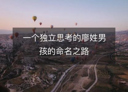一个独立思考的廖姓男孩的<font color='red'>命名</font>之路