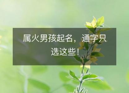 属火男孩起名，通字<font color='red'>只选</font>这些！