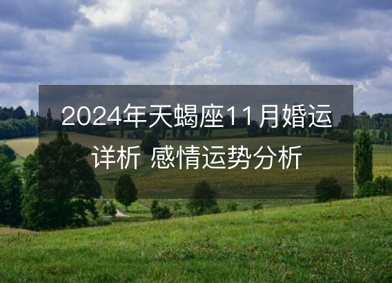 2024年天蝎座11月婚运详析 感情运势分析