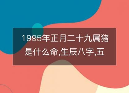 1995年正月<font color='red'>二十九</font>属猪是什么命,生辰八字,五行,命运解析