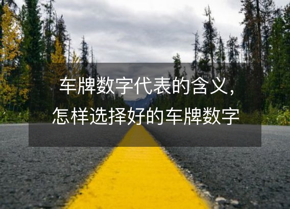 车牌数字代表的含义,怎样选择好的车牌数字?