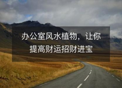 办公室风水植物，<font color='red'>让你</font>提高财运招财进宝