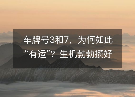车牌号3和7,为何如此“有运”?生机勃勃攒好运