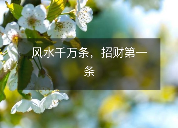 风水千万条,招财第一条